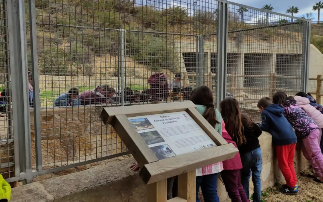 Visita a «Los lavaderos»