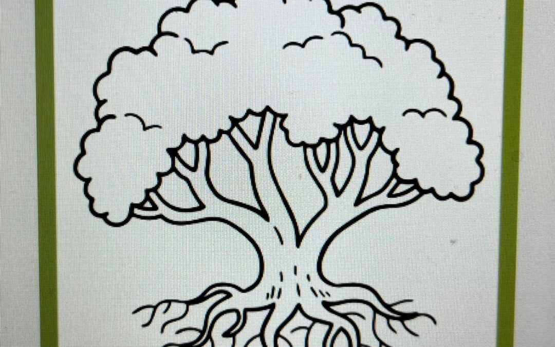 Educando emociones: crecer por dentro también importa.