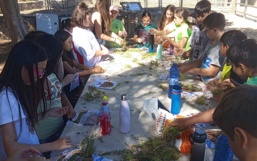 Taller de Etnobotánica.